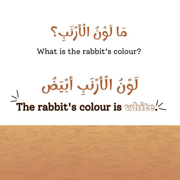 Animal Colors