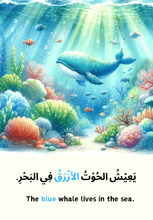 Animals in the Quran – Arabic Reader
