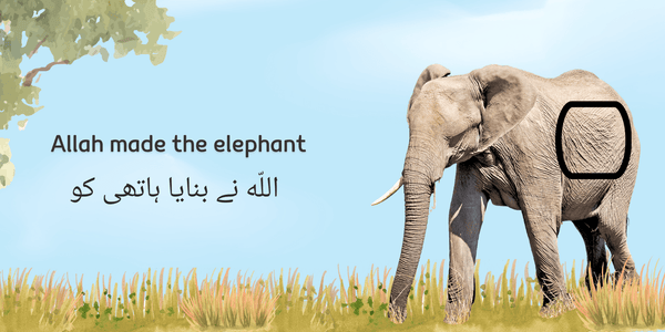 Allah made the animals – TOUCH AND FEEL