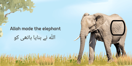 Allah made the animals – TOUCH AND FEEL