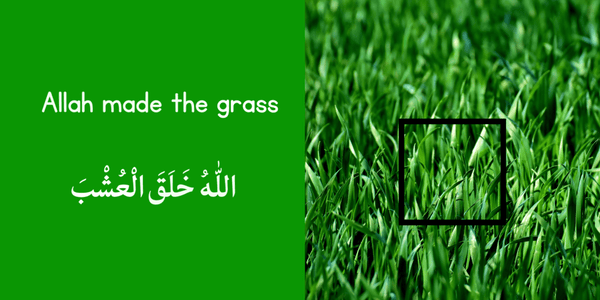 Allah made the World around Me – TOUCH AND FEEL