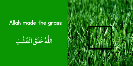 Allah made the World around Me – TOUCH AND FEEL