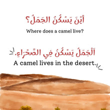 Animal Homes