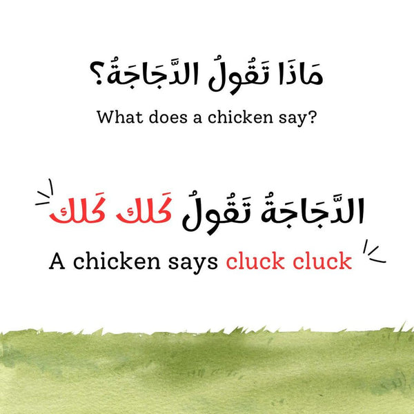 Animal Sounds