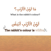 Animal Colors