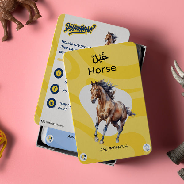Animals in Quran - FlashCards