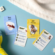 Animals in Quran - FlashCards