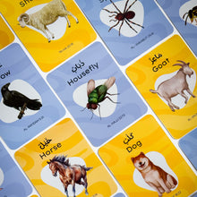 Animals in Quran - FlashCards
