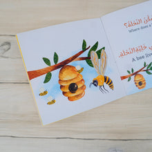 Animals homes